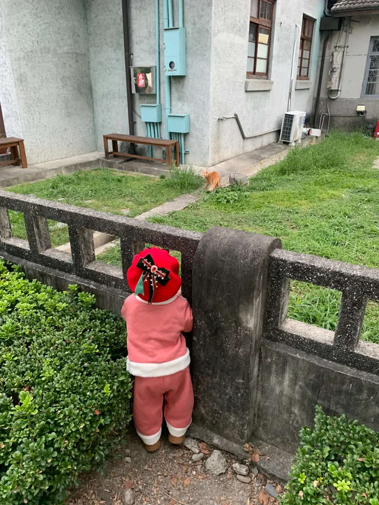 正在看貓咪的小朋友