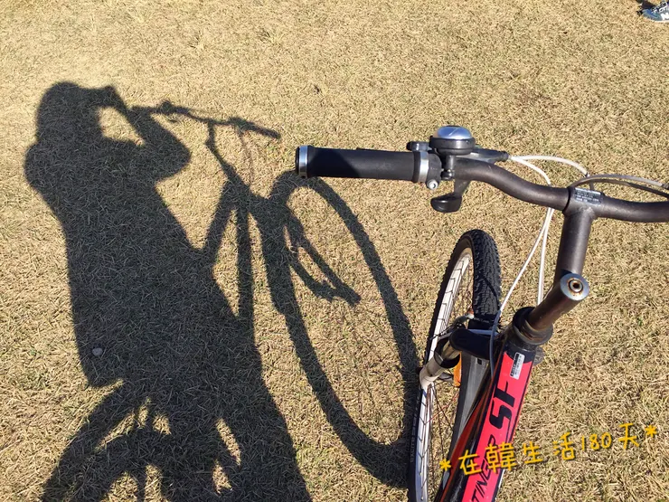 免費的腳踏車可以借用