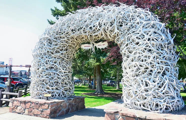 Jackson Town Square／傑克遜小鎮鹿角公園