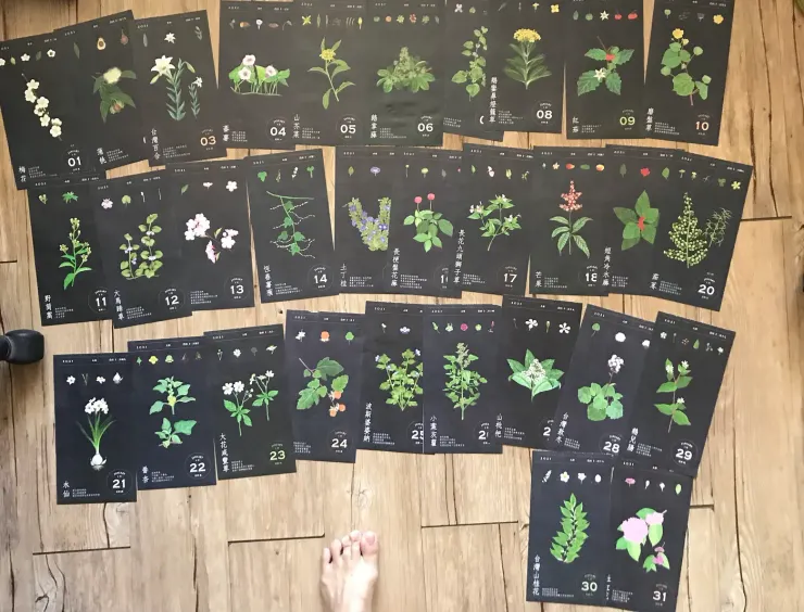 1月份花曆一字排開  腳丫不小心入鏡XD