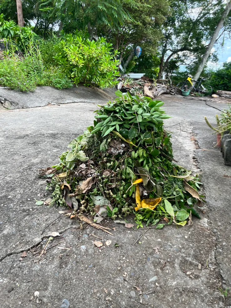 沒想到能堆那麼高那麼多！