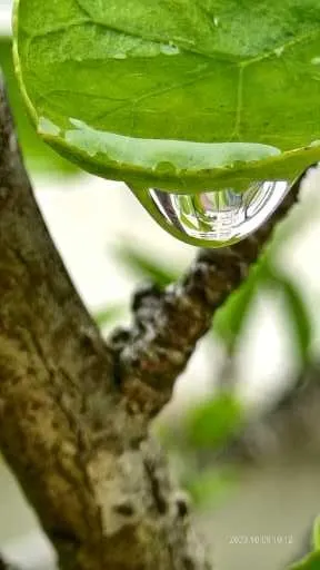 不是隱瞞就是揭開,不是承認就是轉移.