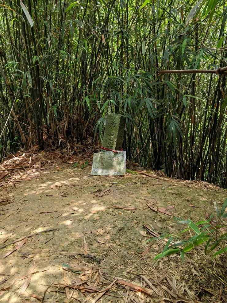 穿過竹林，可以撿一顆南榮山！