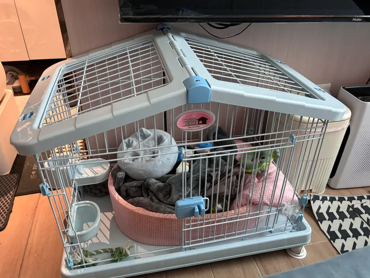 狗狗休息及遊憩區