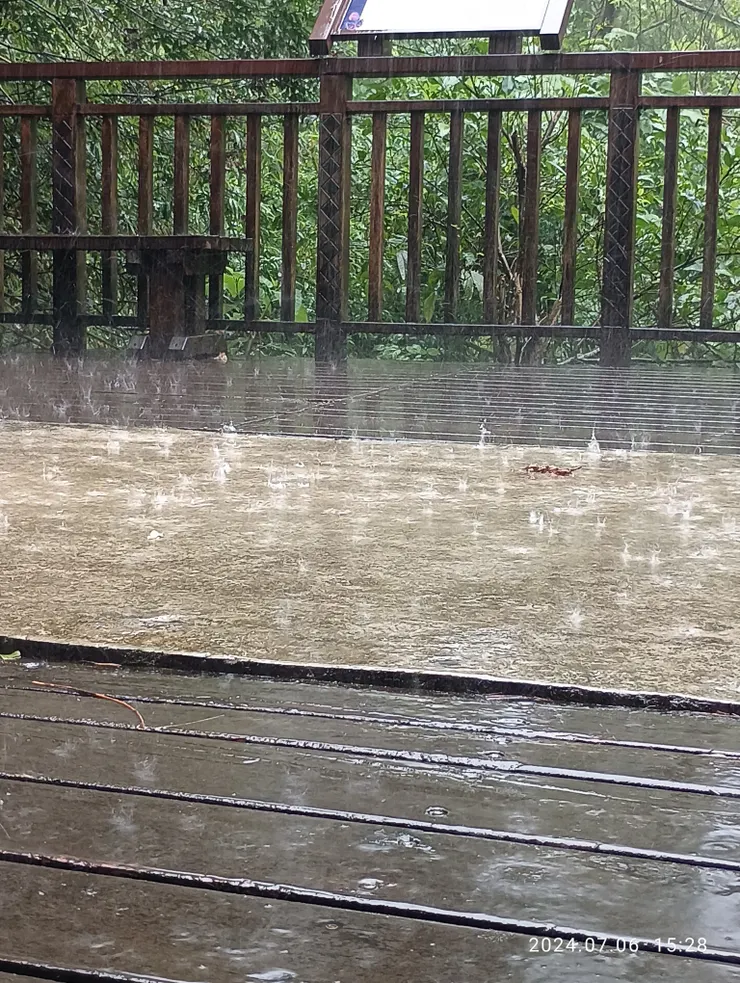 木亭雨舞跳