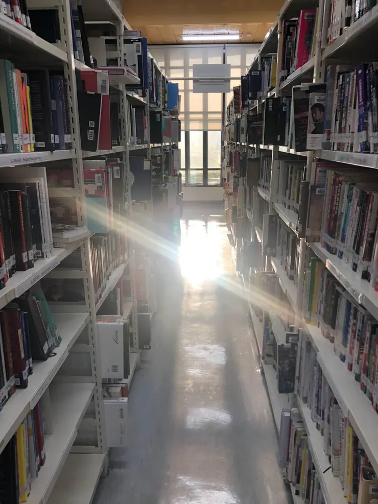 台北市立圖書館一隅，陽光灑落於走道與書架間