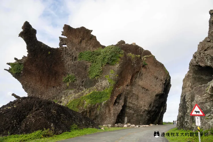 龍頭岩的造型非常奇特,很不現實!