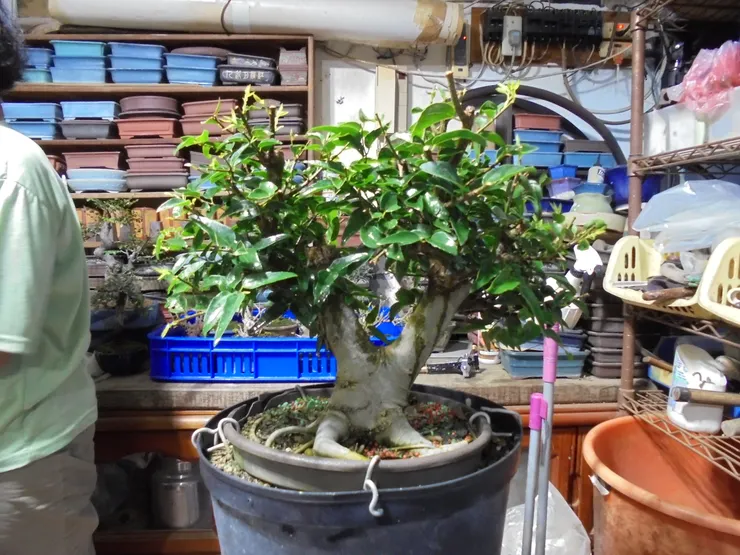 整理前