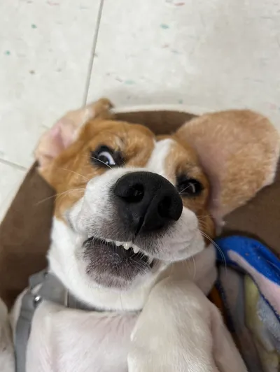 中年憤青的搖滾小窩