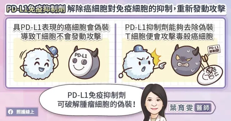 PD-L1免疫抑制劑解除癌細胞對免疫細胞的抑制，重新發動攻擊