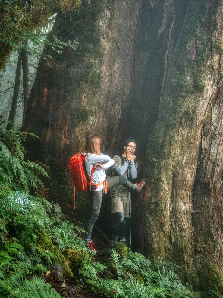 9號神木除了可以玩躲貓貓，還可以玩搶錢搶糧盗匪！！🤣