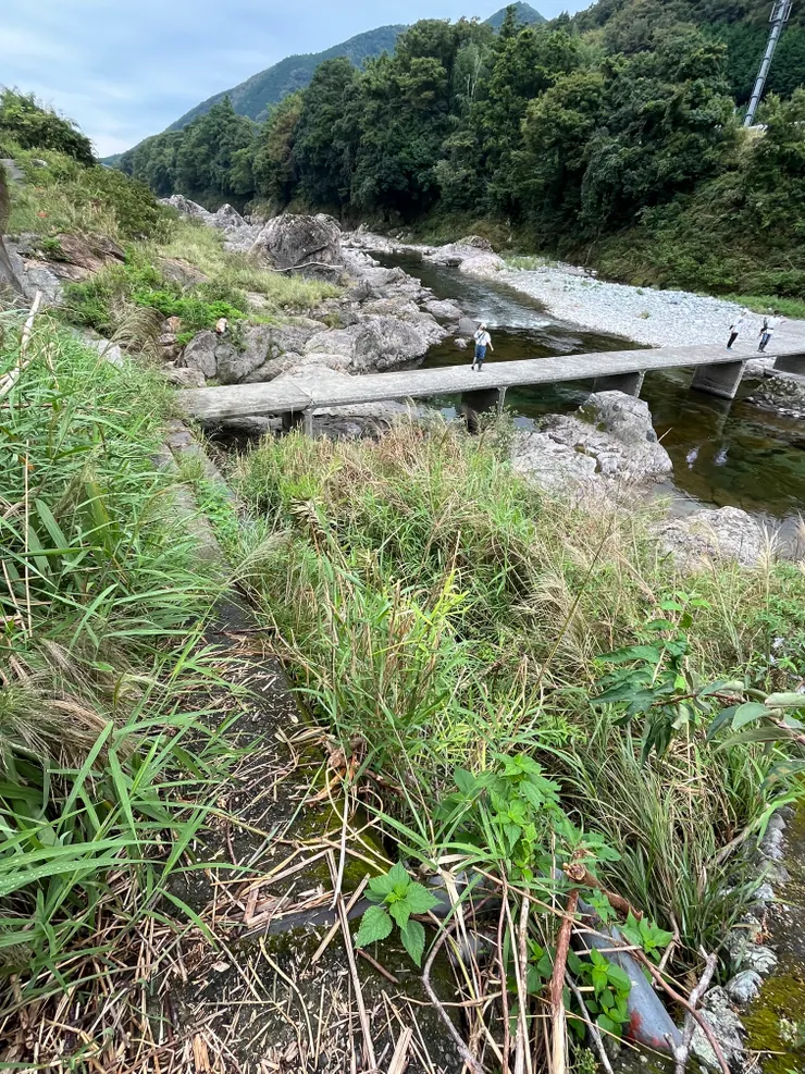 無路可下，全都是草