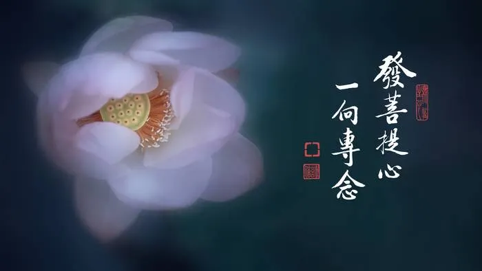 專心持念「阿彌陀佛」萬德洪名，期生淨土