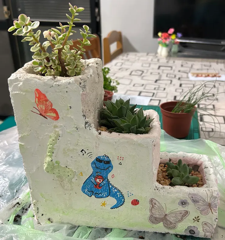 種植多肉植物後(正面)---疊古巴特