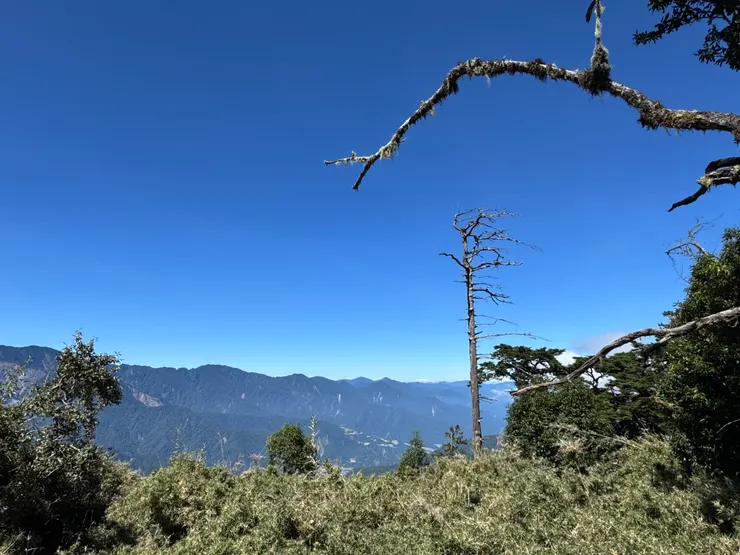 遠山和林木，怎麼拍都美！