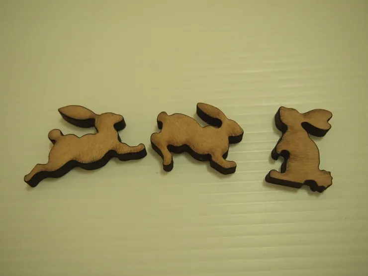 我最喜歡的兔子們。