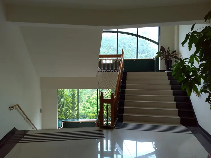 飯店寬敞採落地窗設計的樓梯。