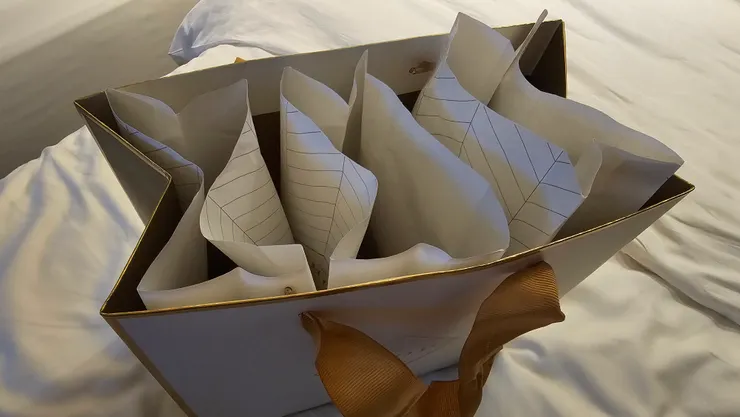 新加坡君悅酒店買的麵包每一個都獨立包裝!