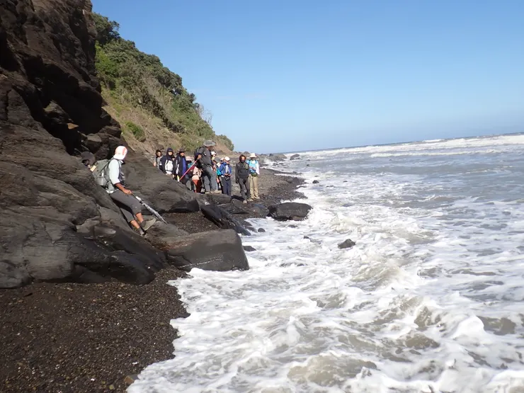 等海浪退下，趁機快過！