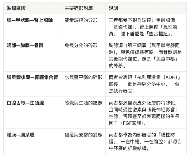 其他人體上的碎形對應