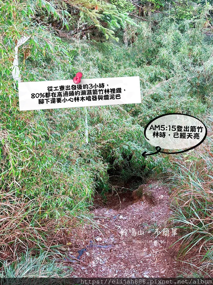 【閂山鈴鳴。兩日50公里百岳行】海拔3272公尺 鈴鳴山-