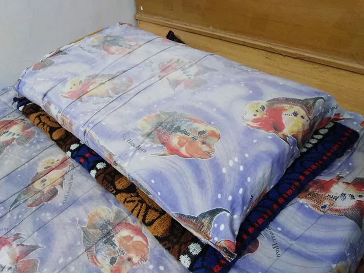 使用了將近20年的枕頭