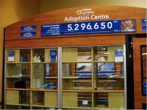 Petsmart 等待認養區
