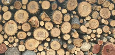 愛里布里😎的回憶事+現在式