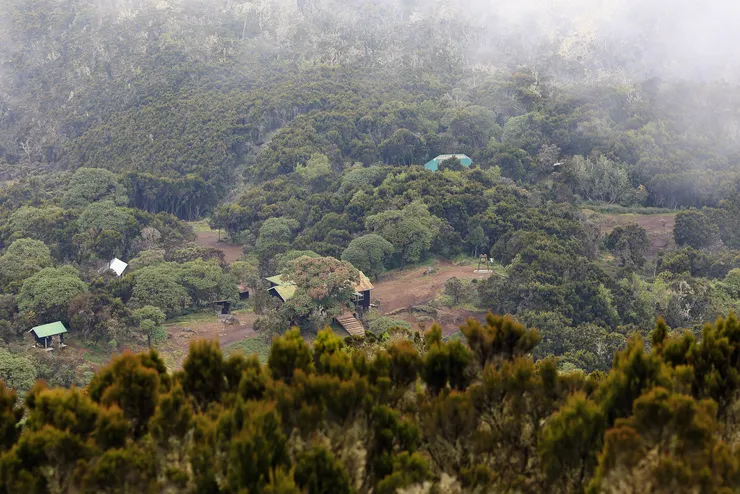 俯瞰位於森林中的Machame camp，沒什麼景，是個可以心無旁騖睡覺的營地。