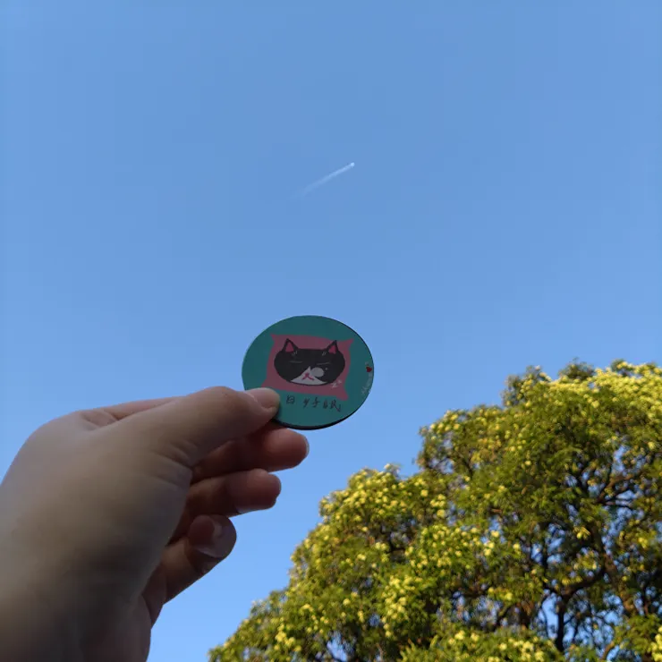 試圖捕捉飛機的尾巴，但是太逆光