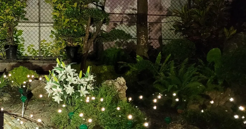 A Wordsmith: Ching Pan 文字小工潘青霞