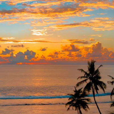 Yumiko yamada的沙龍