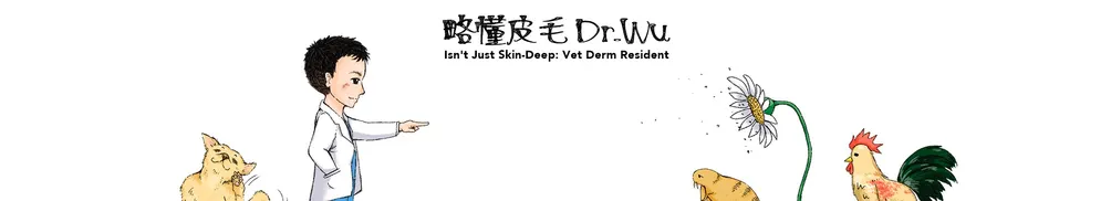 略懂皮毛 Dr. Wu的沙龍