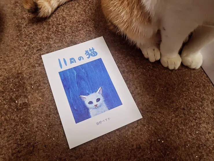 《11月の猫》