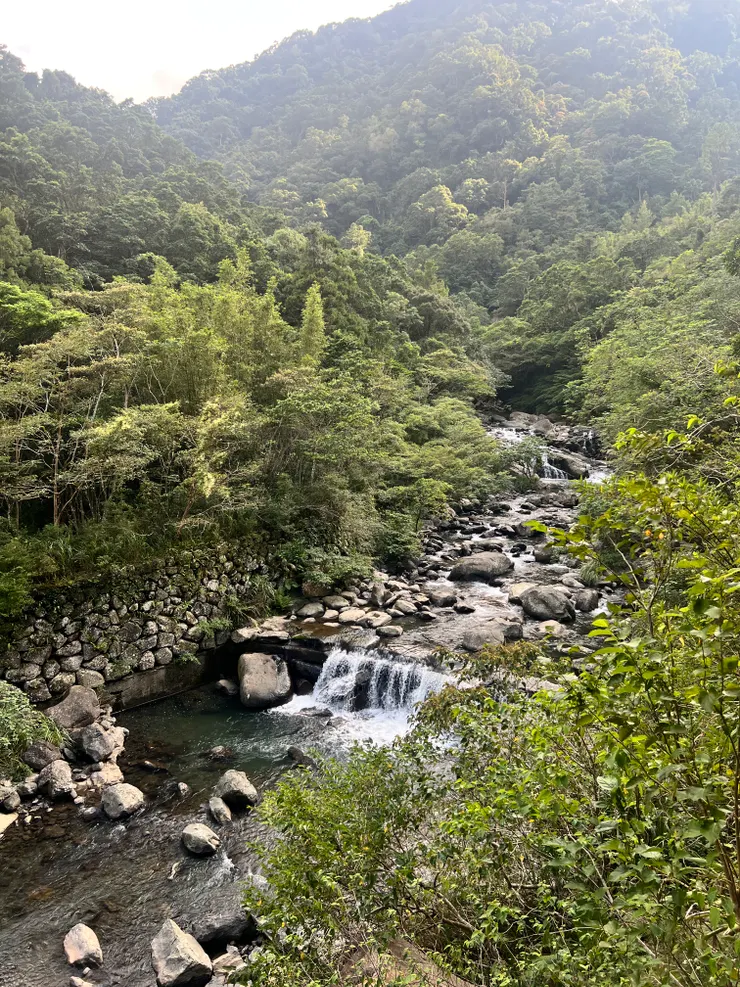 這段路讓人逐漸從都市切換到山林模式。