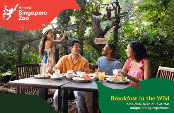 上圖擷取自官網