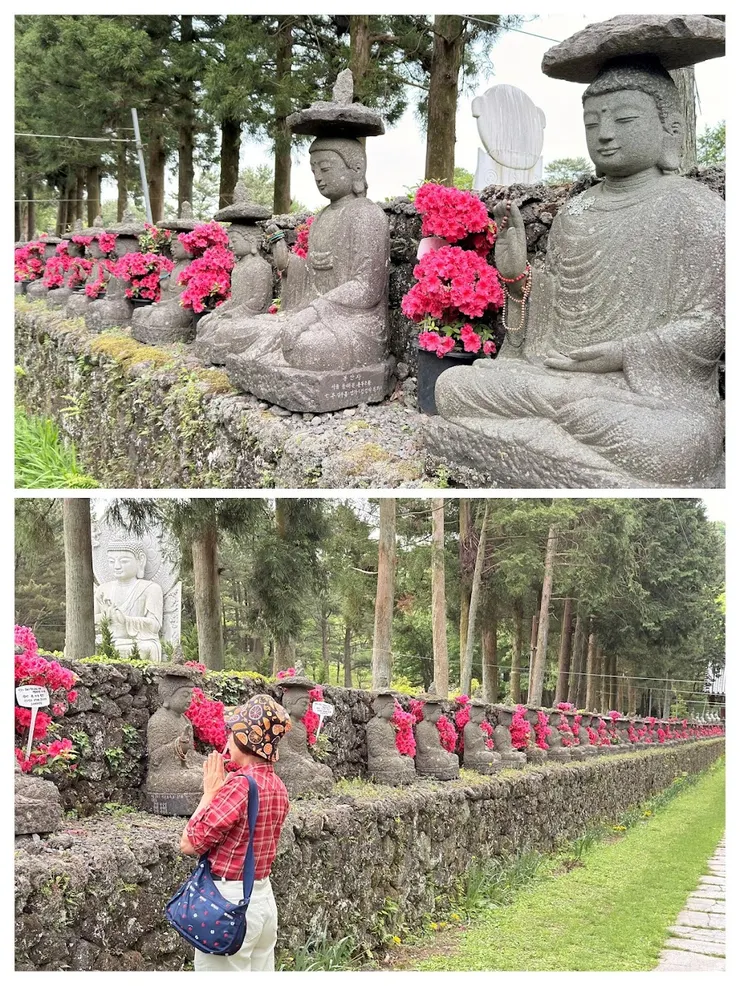 供養的杜鵑花盛開得很不真實