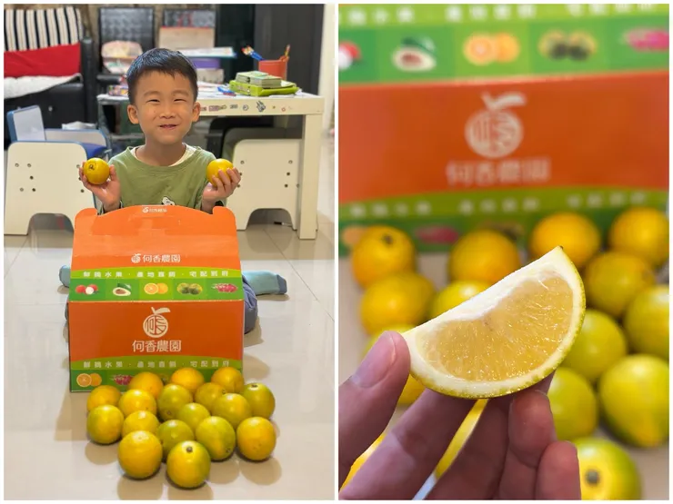 來自台南的東坡丁，是台南頂級老欉