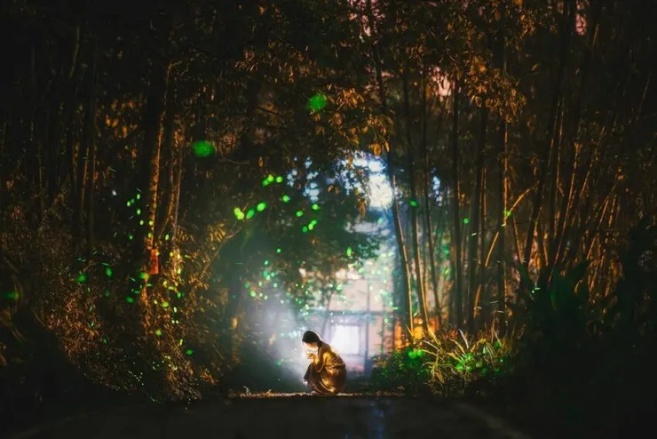三生緣復育園區螢火蟲