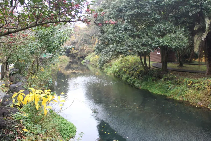 前往正房瀑布沿路