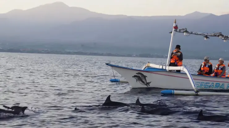 冰冰晶晶視頻截圖