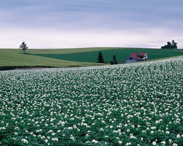 這取景，我跪了