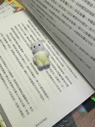 萬物皆為書籤