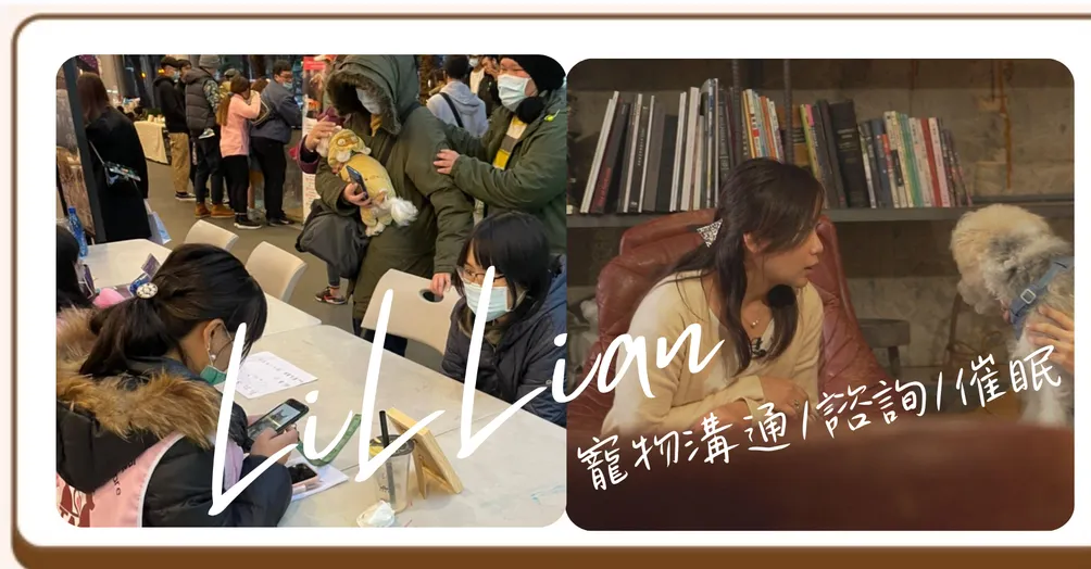 LiLLian毛寵心靈溝通、牌卡諮詢