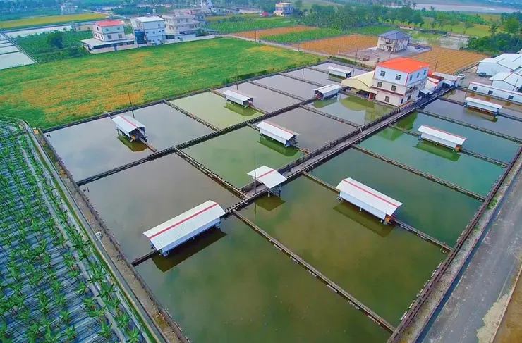 直銷新聞網--從甲魚養殖場出發的加捷生醫。