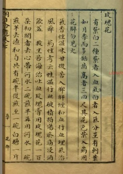 清代《本草綱目拾遺》所記載的玫瑰花療效 不同顏色 療效亦有差別