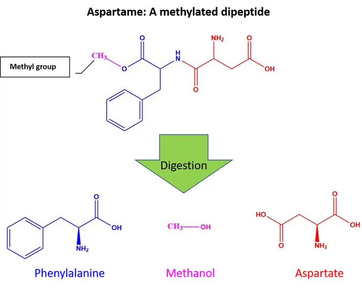 阿斯巴甜代謝產生甲醇