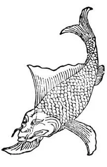 【赤鱬】清‧吳任臣康熙圖本  Wikimedia Commons