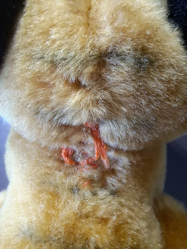 剛剛所提到的裂痕，已經被縫合完畢