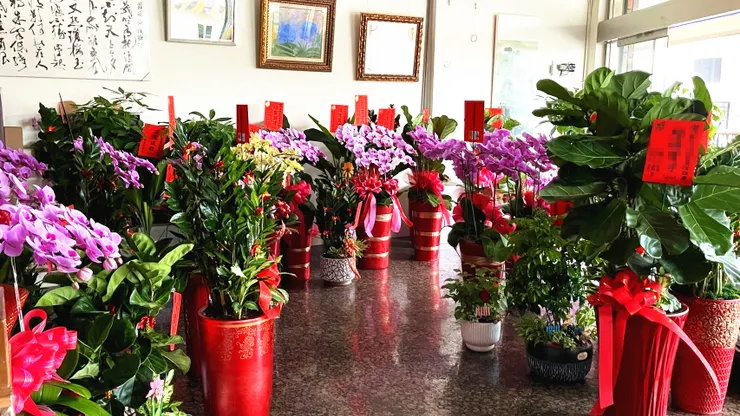 心情故事花房：台南安南區花藝精緻首選 開幕花柱 祝賀花柱 追思花柱 羅馬花柱